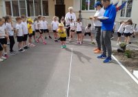 img (8)